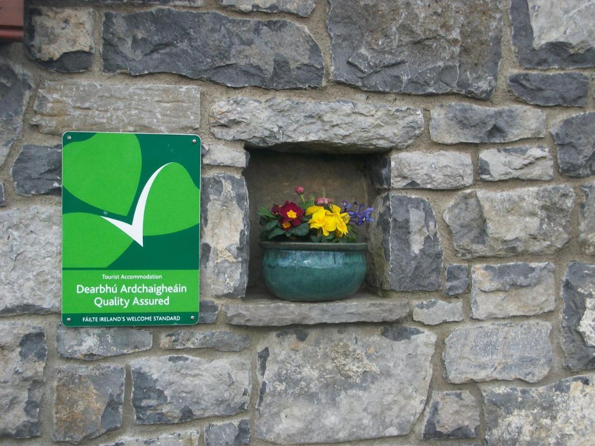 Aille River Tourist Hostel Glamping Doolin Eksteriør billede